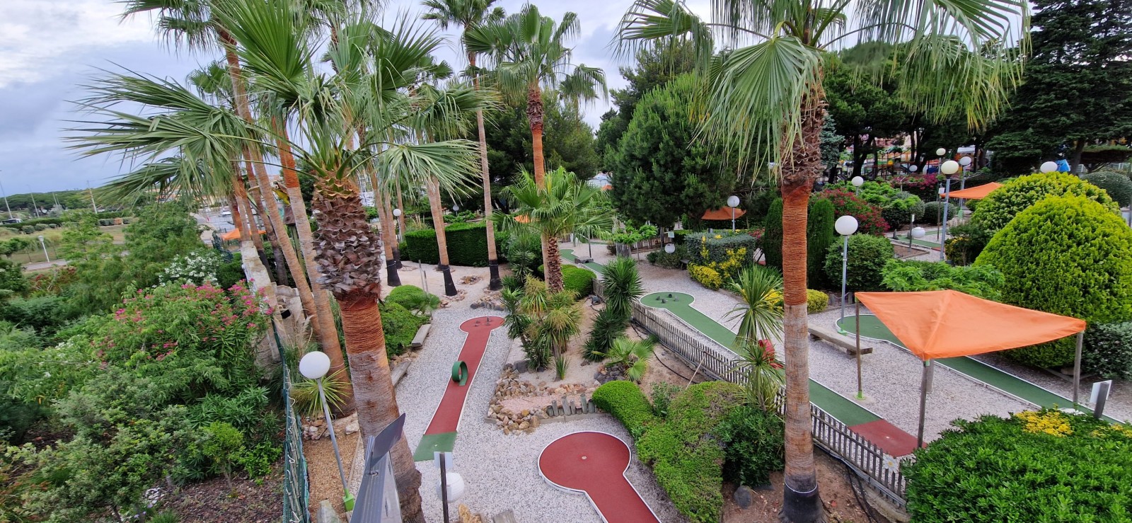 lissage des troncs de palmiers et taille des palmes sèches au Cap d'Agde.