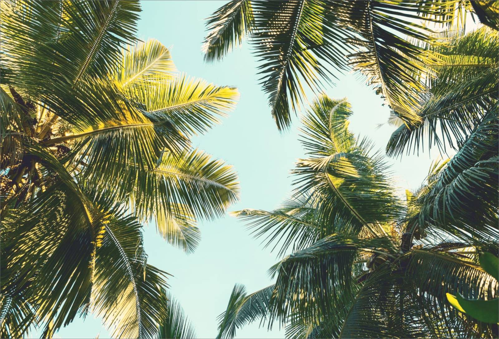 Bienvenue sur notre site