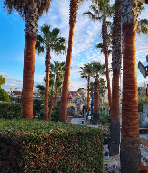 Bienvenue sur notre site